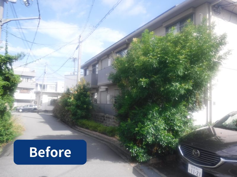 豊中市の賃貸アパートの植木の剪定前の写真